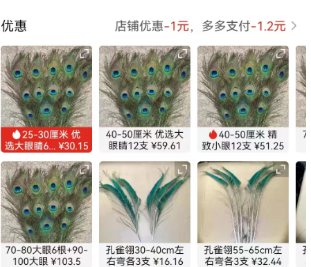 100元养一只，养一年赚30万？一个冷门的养殖项目！