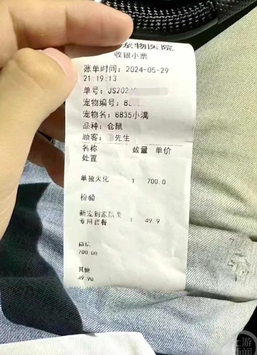 和宠物来一场“体面的告别”要多少钱，几万元为宠物办葬礼的年轻人在想什么